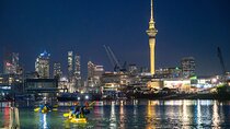 Auckland City Lights Night Kayaking Tour