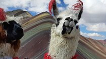 Full Day Group Tour to the Mountain of Colors