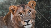 5 Day Tanzania Safari 