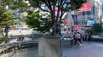 Tokyo Shibuya and Highlights Private Running Tour 