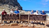 Cape Town Half Day Penguins And Cape of Good Hope Tour