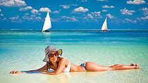 Prison Island & Spice Farm Trip W/ Lunch & Transfer - Zanzibar