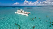 Crucero de Fiesta y Snorkel en Punta Cana