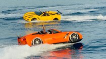 Jamaica Jet Car and Jet Ski Experience