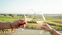 Winery tour and wine tasting in Maremma - Grosseto