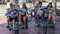 Electric Bike Rental Side By Side 