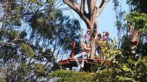 Shore Excursion Zipline Tour for Pride Of America Passengers