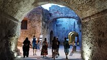ROME: colosseum gladiator arena ,forum& palatine guided tour