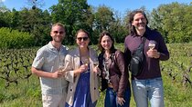 Loire Valley Castles and Wineries Private VIP Day Trip with Lunch