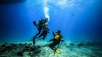 PADI Open Water Course Advanced Diving in Hurghada - Hurghada