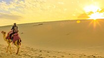 Morning Safari Escape Golden Hour in the Desert With Transfers