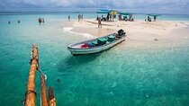 Nakupenda Island Snorkeling Adventure, Lunch, Transfer - Zanzibar
