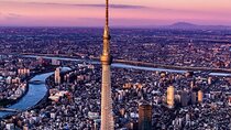 From Tokyo: Full Day Tokyo Private City Tour
