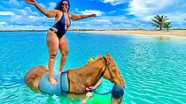 Horseback Ride , Dunns River Falls & Blue Hole From Montego Bay