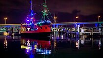 Miami Party Boat Cruise Music & Skyline Views 1 hour 20min of fun