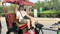 Beijing Half Day: Temple of heaven with Hutong rickshaw rides fun