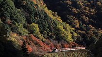 Arashiyama Walking Tour with Optional Sagano Romantic Train Ride