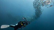 2 Day and 1 Night Similan Scuba Trip with MV Koon from Phuket