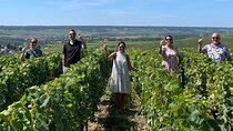 Loire Valley Chambord Castle and Wine Tasting from Paris