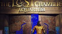 Dubai Lost Chamber Aquarium Atlantis Ticket wth optional transfer