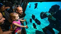 Semi submarine, ATV Safari, Camel Ride & Parasailing - Hurghada
