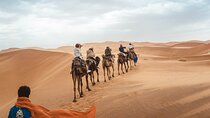 Morning Private Desert Safari with Dune Bashing and Sandboarding