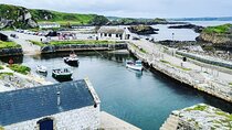 Private Tour of the Antrim Glens Coast and Giants Causeway