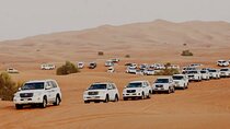 Dubai: Half-Day Desert Safari ,Camels & Sunset 
