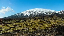 Snaefellsnes Peninsula Full Day Private Tour from Reykjavik