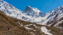Private Full-Day Tour to Cajón del Maipo from Santiago