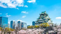 Osaka full day Private Customizable Tour(guide optional)