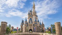 Tokyo Disneysea 1 Day Ticket with Door-to-Door Private Transfer
