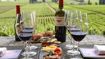 Wine Tasting Experience, Nafplio via Corinth Canal