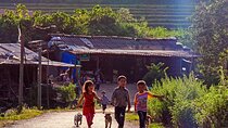 Explore Northern Vietnam in 7 Days: Ninh Binh, Ha Long Bay & Sapa