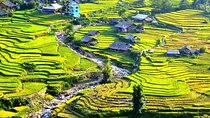 Explore Northern Vietnam in 7 Days: Ninh Binh, Ha Long Bay & Sapa