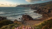 Half-Day Private Tour of Sintra & Cascais 