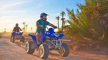 Moroccan Quad and Camel Adventure with Tea in the Palm Oases
