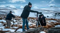 Private Full Day Photography Tour in Queenstown - Follow the Gold