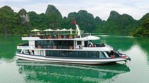 The Best of Halong Bay: 5-Star Pamela Day Cruise from Hanoi