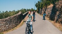 Private Electric Bike 2 hours Tour of Florence Hills with Gelato Tasting 