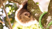 Skip the Line: Rescate Wildlife Rescue Centre General Admission Ticket