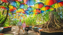 Sunshine Coast Hinterland Private Tour from Brisbane