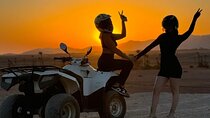 Quad Palmerie Marrakech Excursion