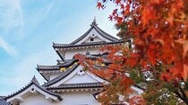 Explore the Historic Castle Town of Hikone from Kyoto