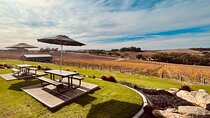 From Adelaide Cruise Ship to McLaren Vale and Historic Hahndorf