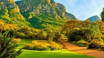 Table Mountain Kirstenbosch World of Birds,Diamond Factory incl