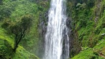 1-Day Materuni Waterfalls, Coffee Tour and Chemka Hot Spring