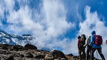 1 Day Mount Kenya National Park Hike Through Narumoro Route