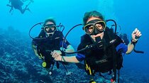 Advanced Diving Course in the Beautiful Red Sea - Sharm El Sheikh