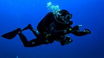 Dive Deeper, PADI Advanced Diving Course - Marsa Alam